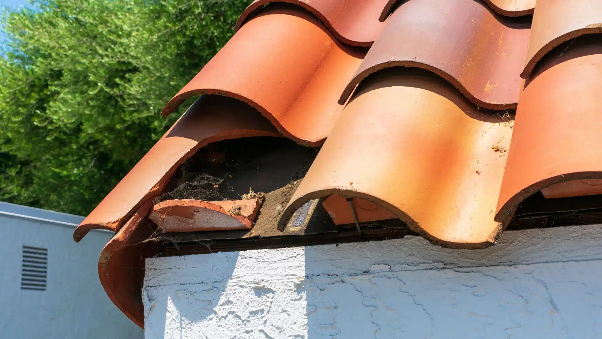 Common Causes of Tile Roof Damage
