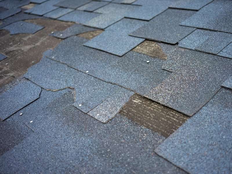 The Quick Fix for Missing Roof Shingles