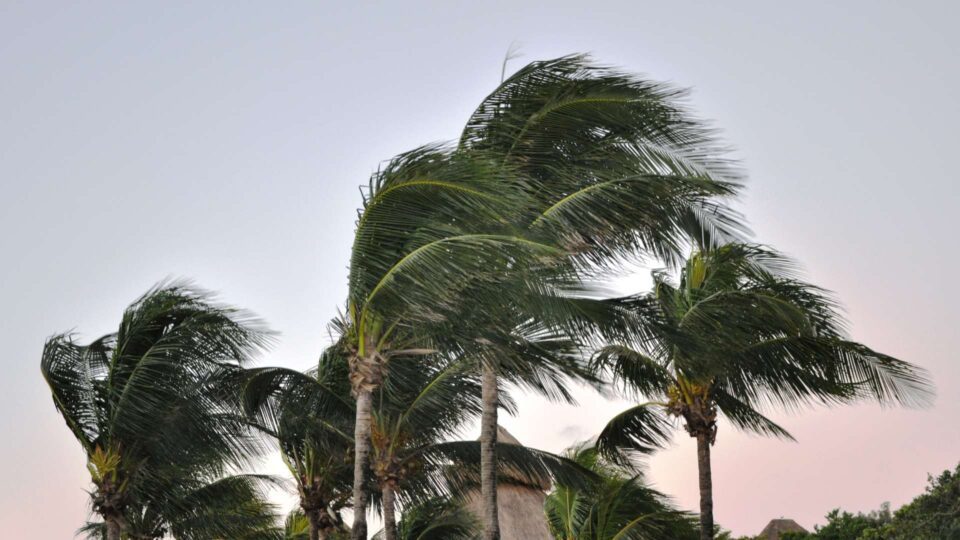 How To Protect Your Roof From Wind Damage