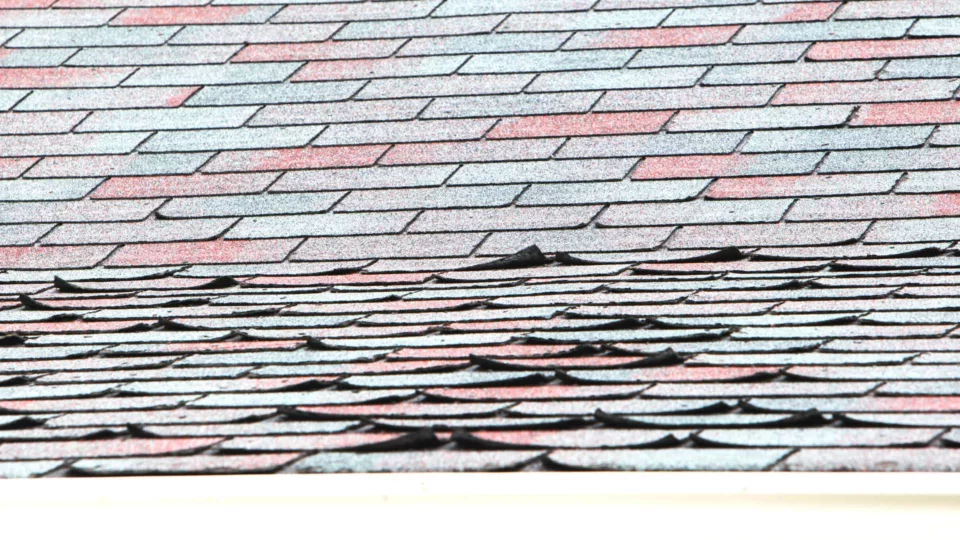 5 Roofing Maintenance Tips You Should Know