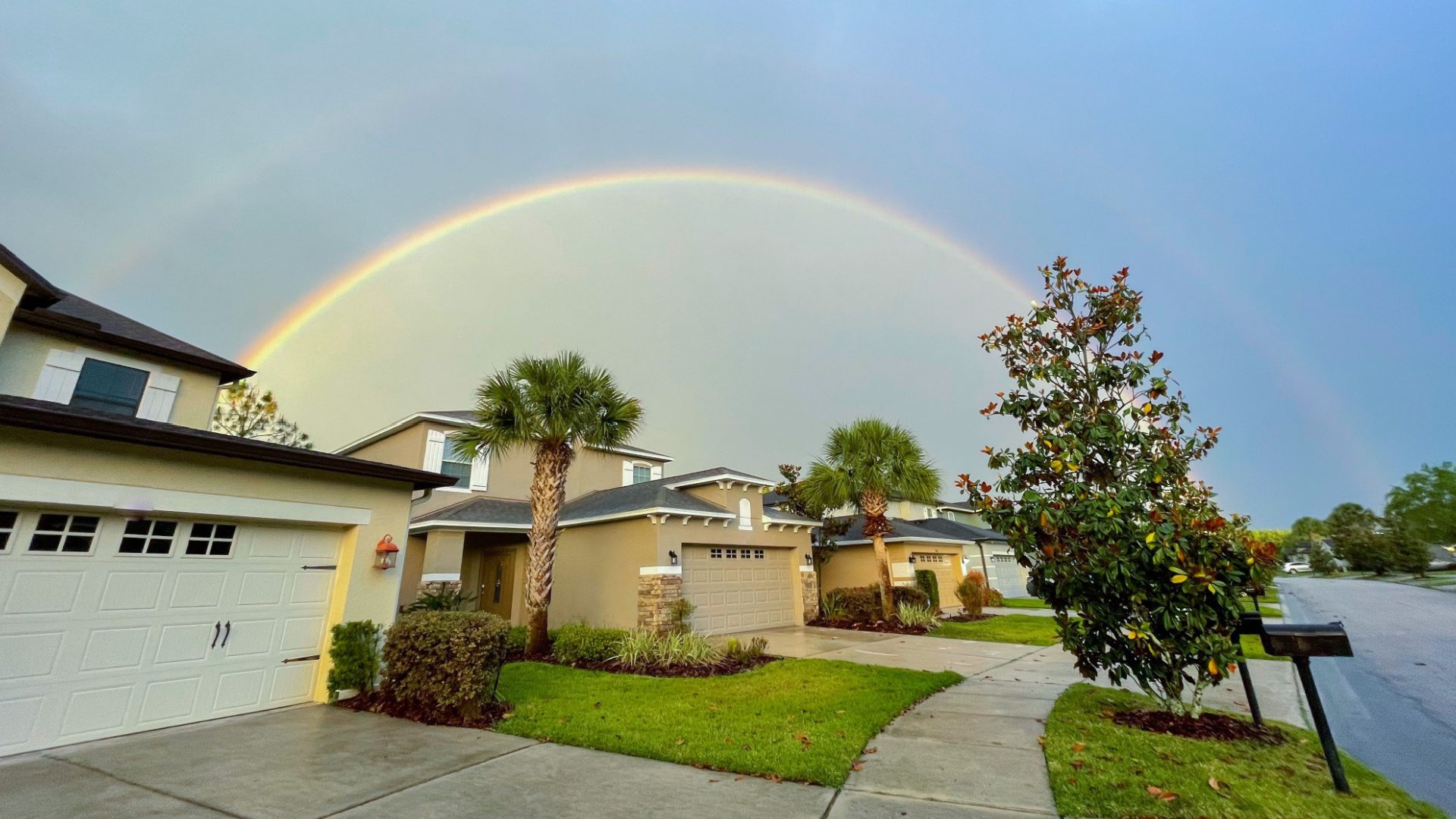 Best Roofing Company in Tampa Classic Roofing