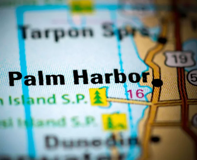 Palm Harbor Roofing