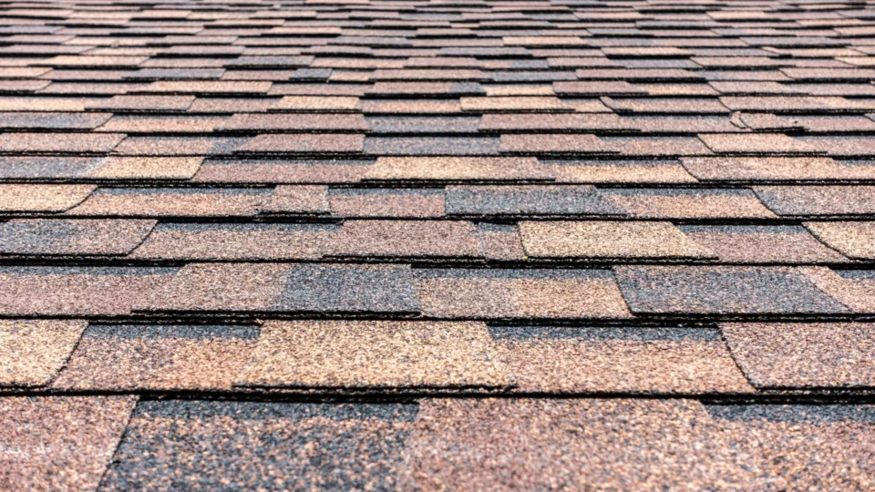 best types of asphalt roof shingles in Florida