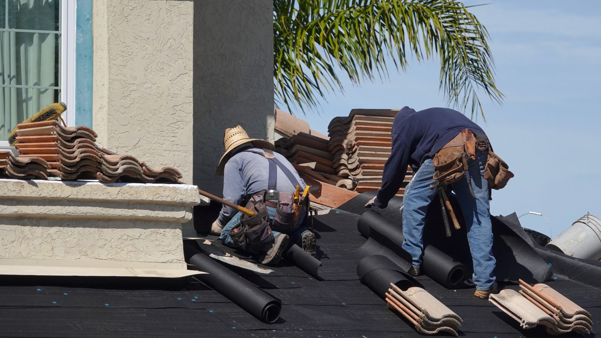 Best Roof Repair Services in Tampa