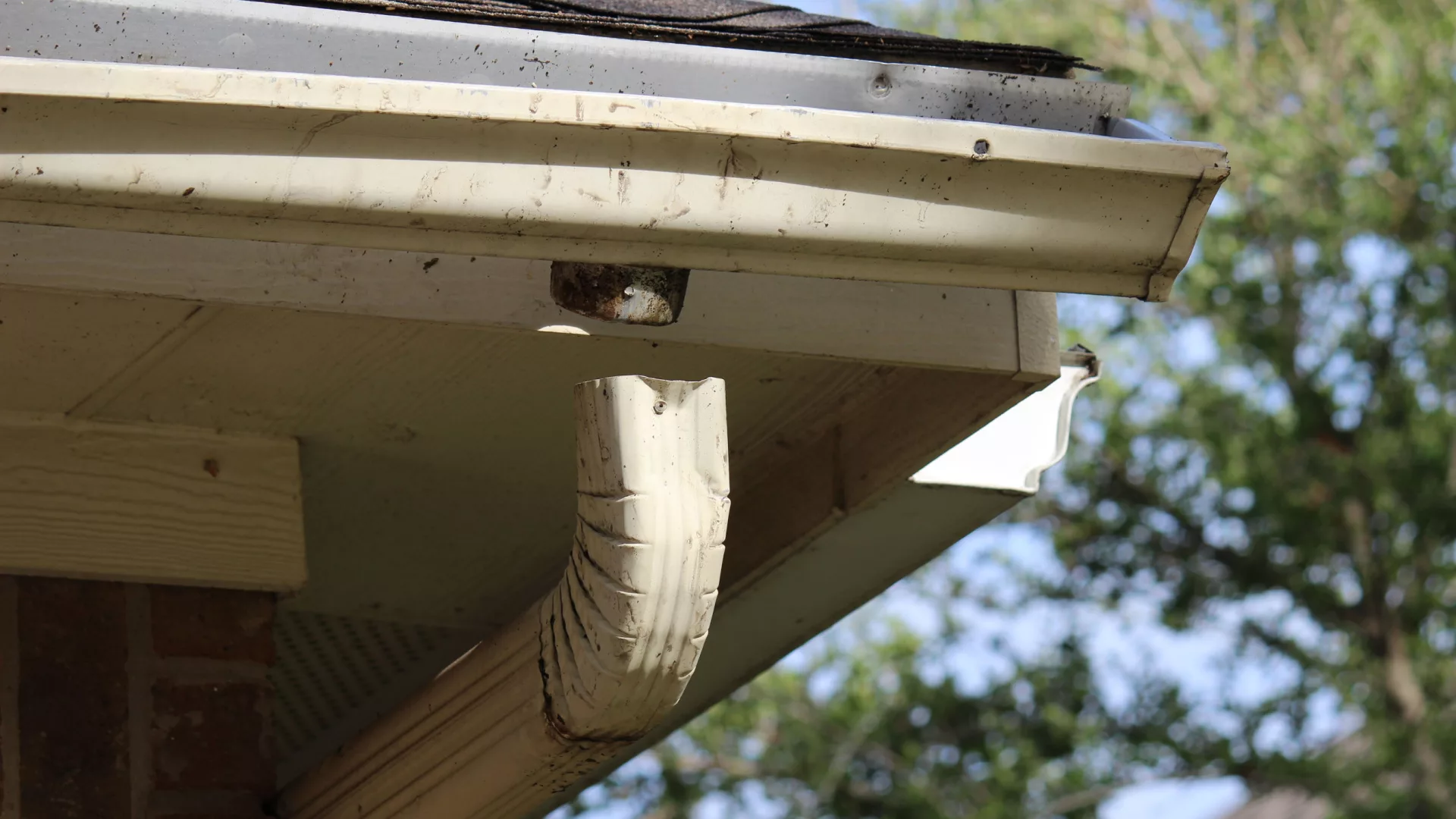 Pros of Professional Gutter Replacement Services in Florida