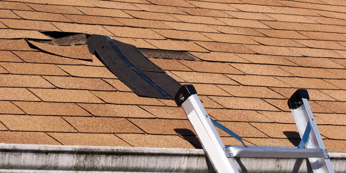 best roof repair in Florida