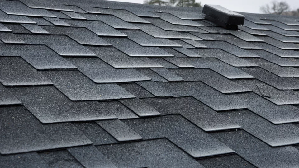 best GAF shingles for Tampa Bay