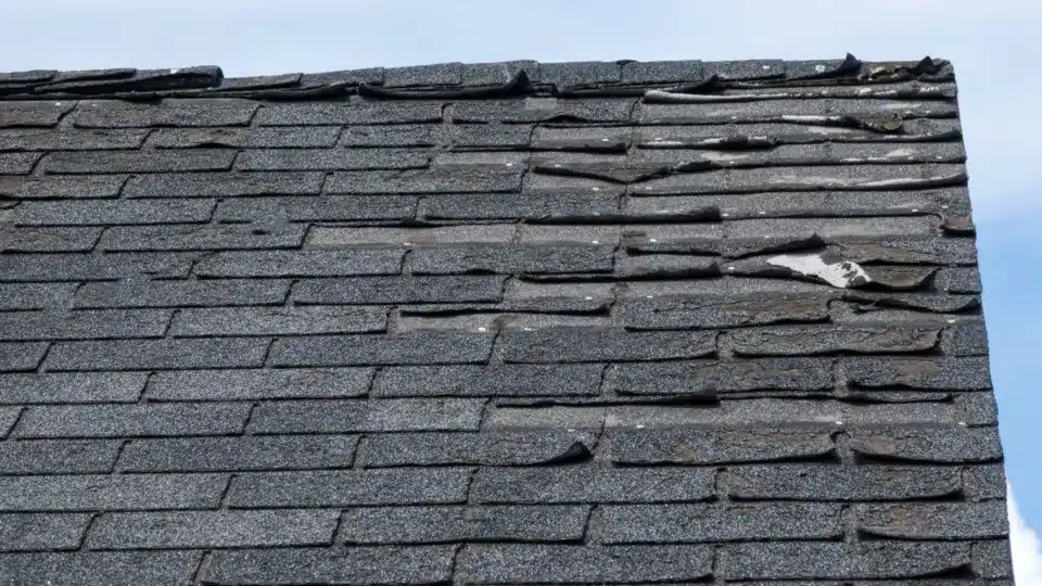 Shingle roof repair costs in Florida