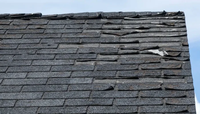 Shingle roof repair costs in Florida