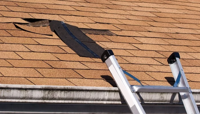 best roof repair in Florida